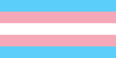 a trans pride flag